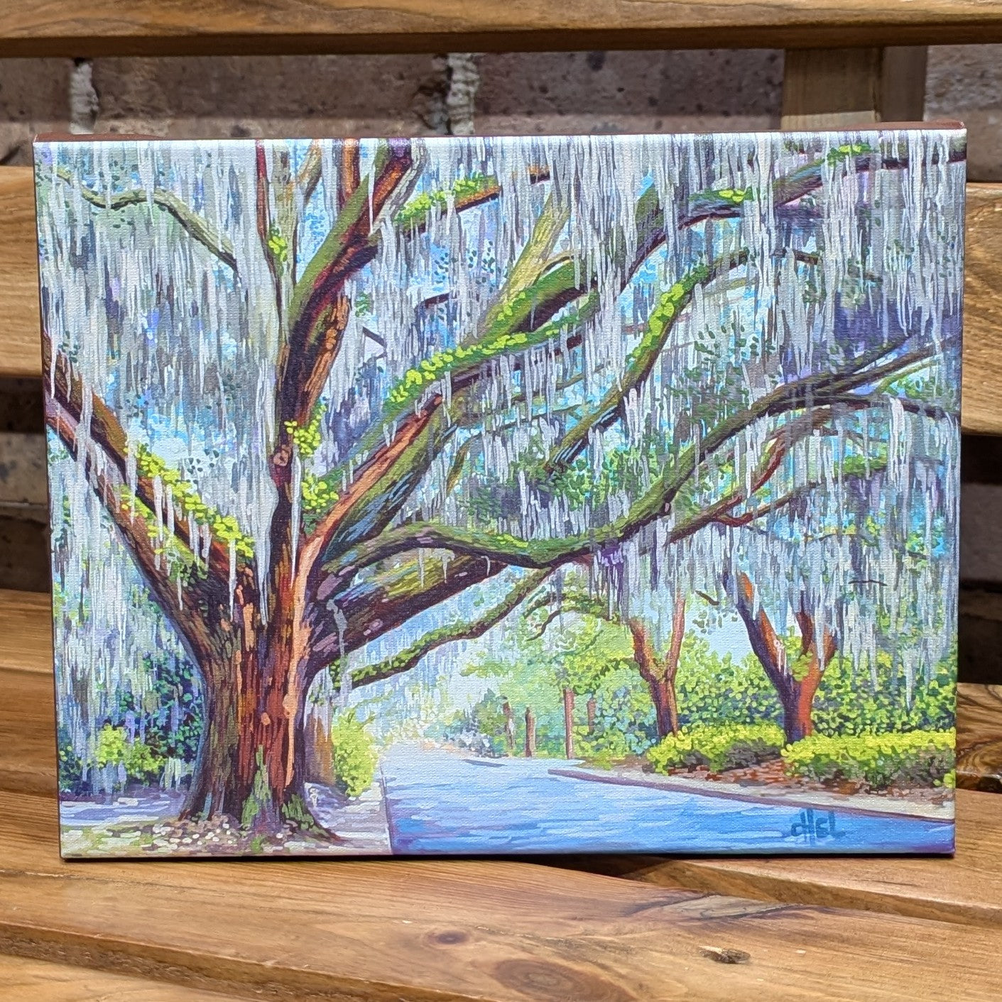 Live Oak on 45th St. - Michelle Perez