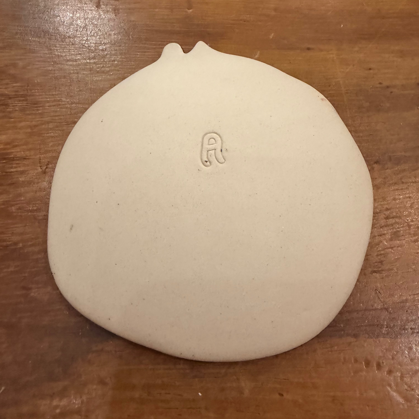 Cat Dish