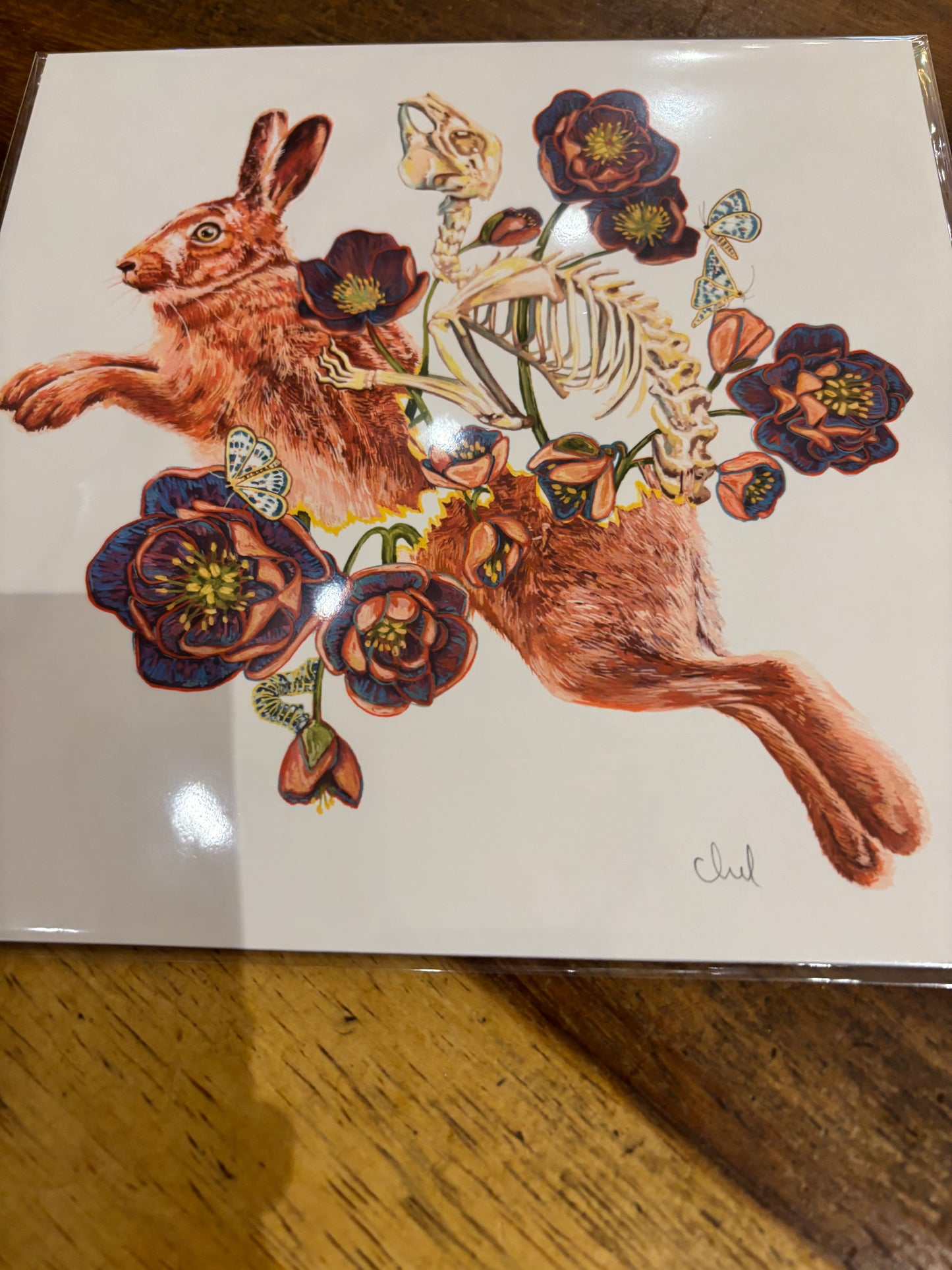 Michelle Perez Hare hellebore