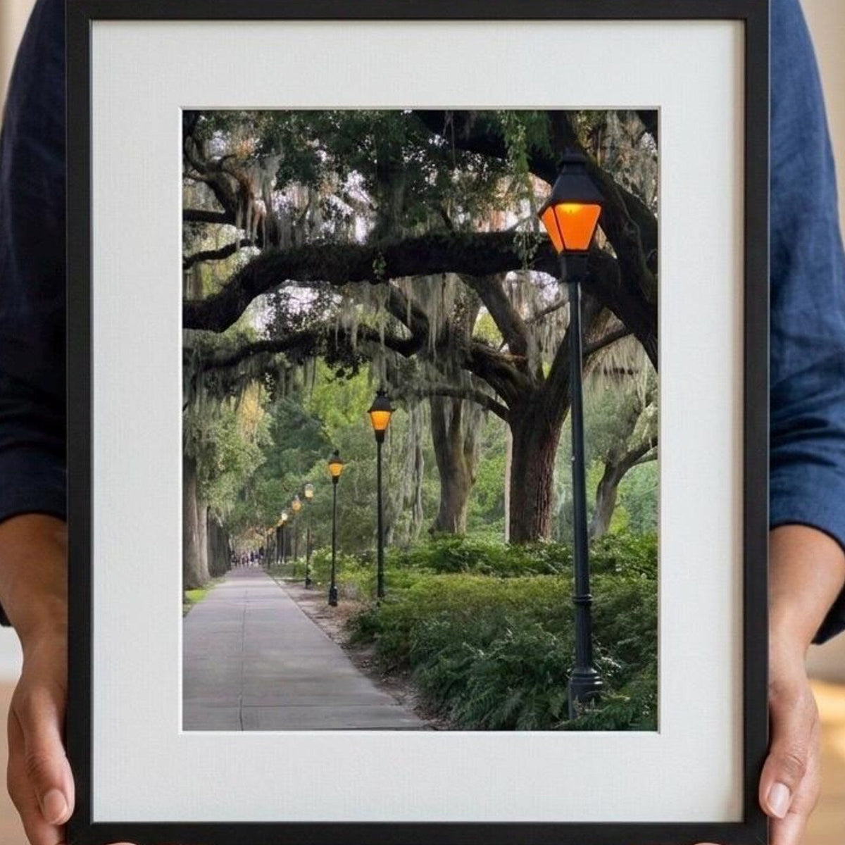 Color Forsyth Park Lamps - 8x10
