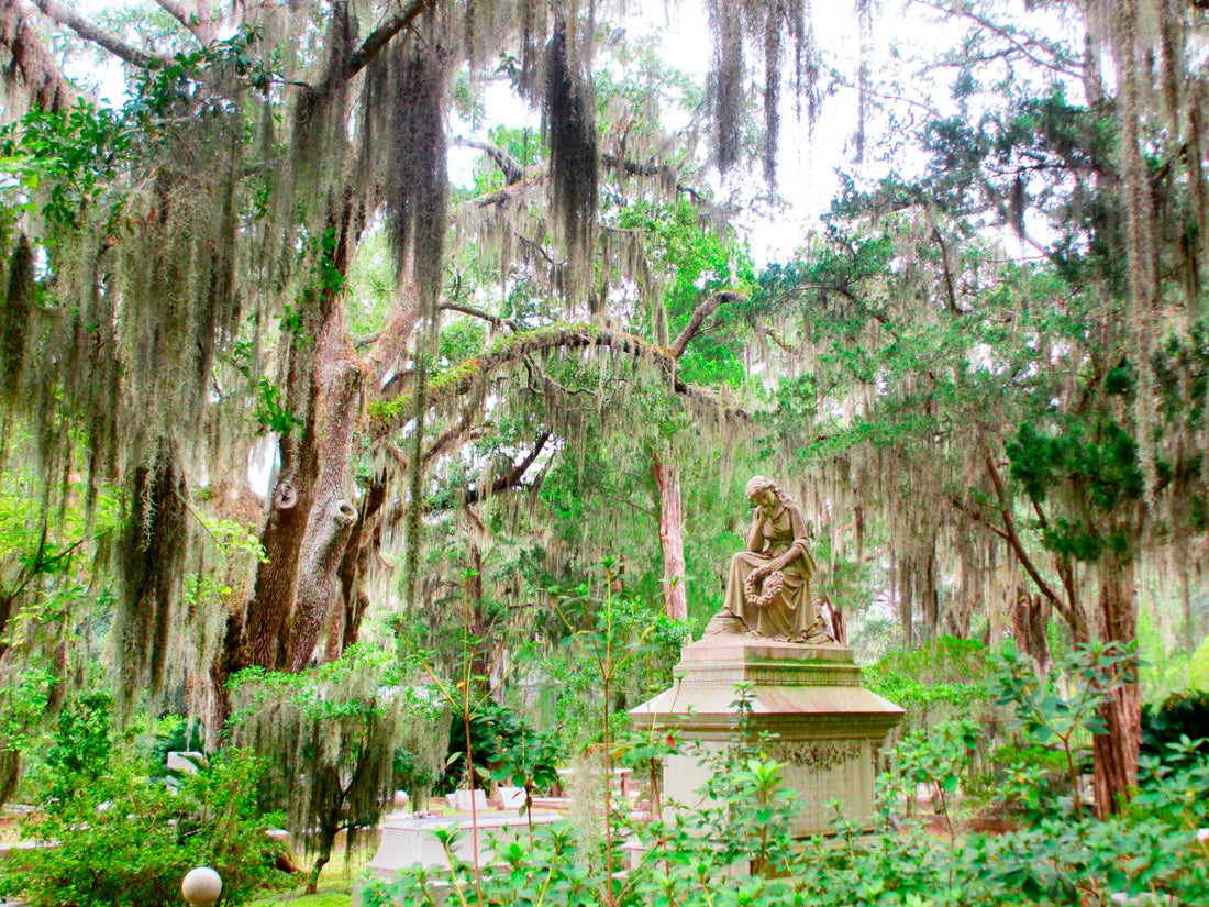 Discover the Charm of Savannah: A Quick Guide to Inspiring Local Attractions