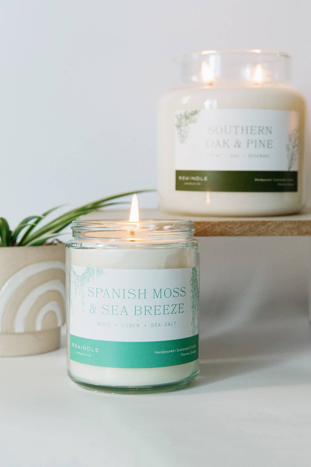 Spanish Moss + Sea Breeze Cotton Wick Soy Candle