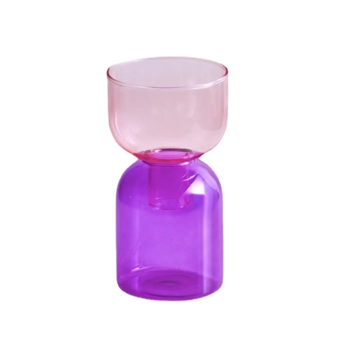 Pink/Purple Terrarium Plant Vase/Candle Holder