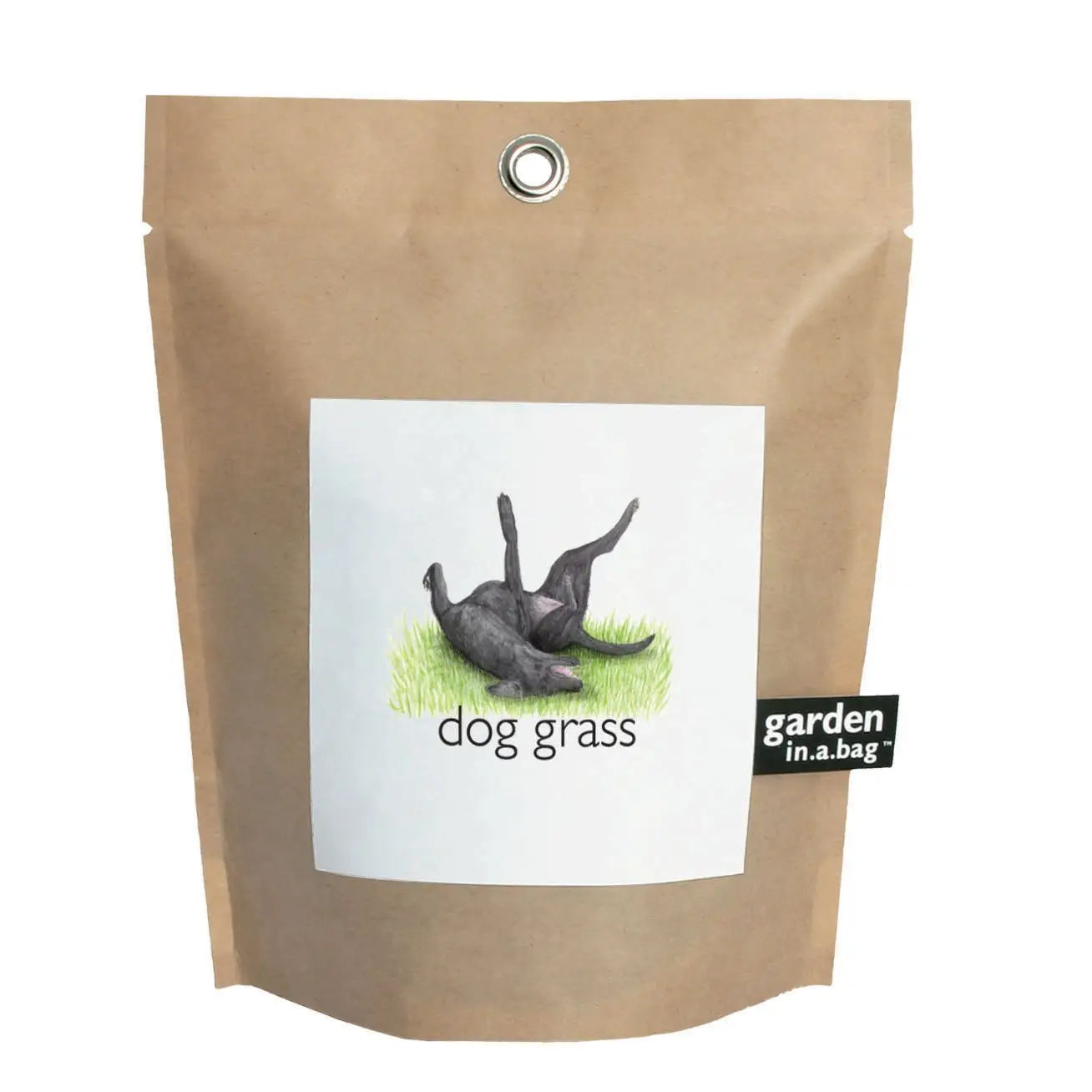 Dog Grass Garden in A Bag