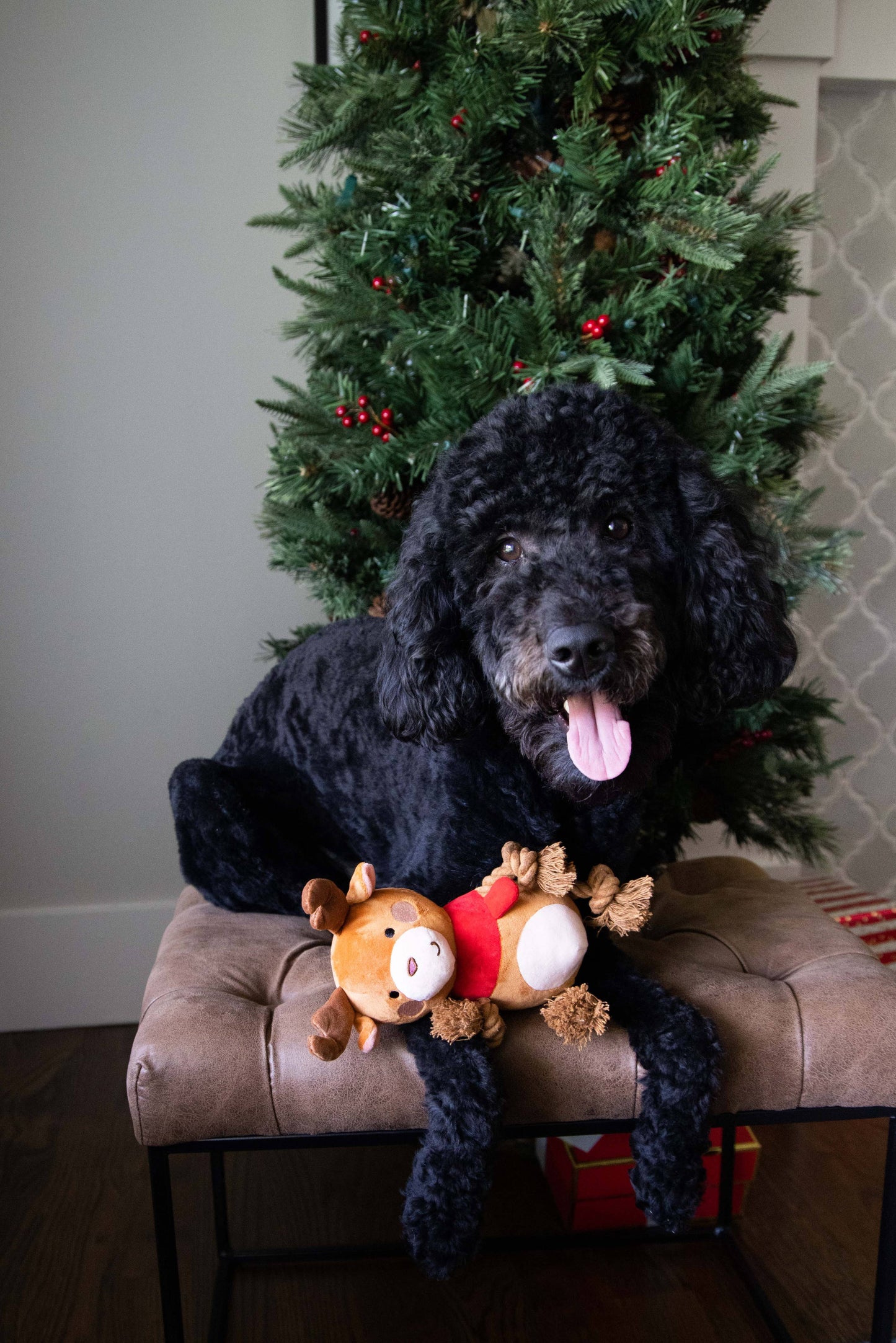 Reindeer Plush Rope Christmas Dog Toy, Holiday Pet Gift