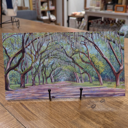 Wormsloe Panorama Postcard - Michelle Perez