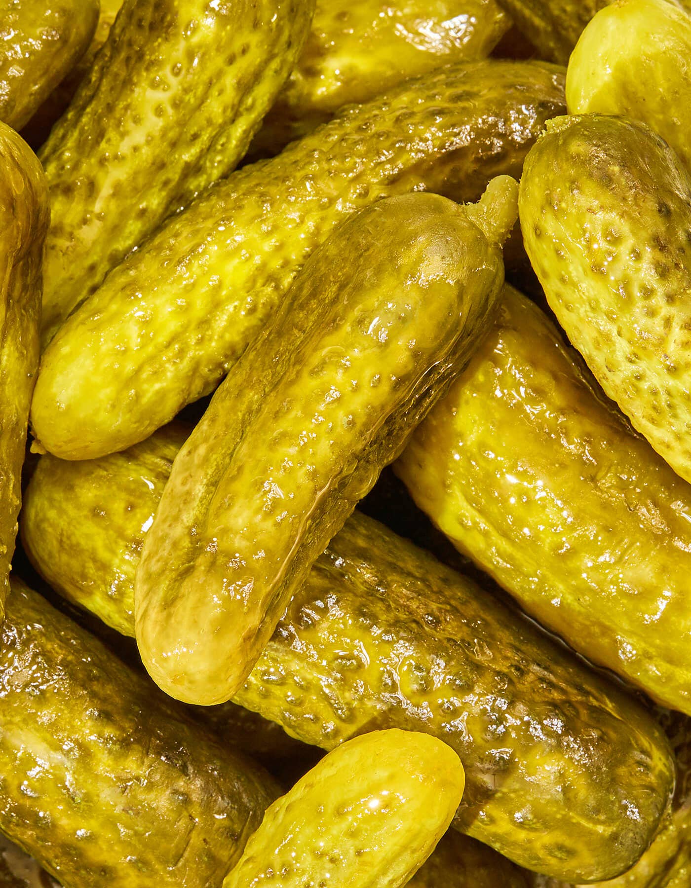 Garlic Dill Mini Pickles