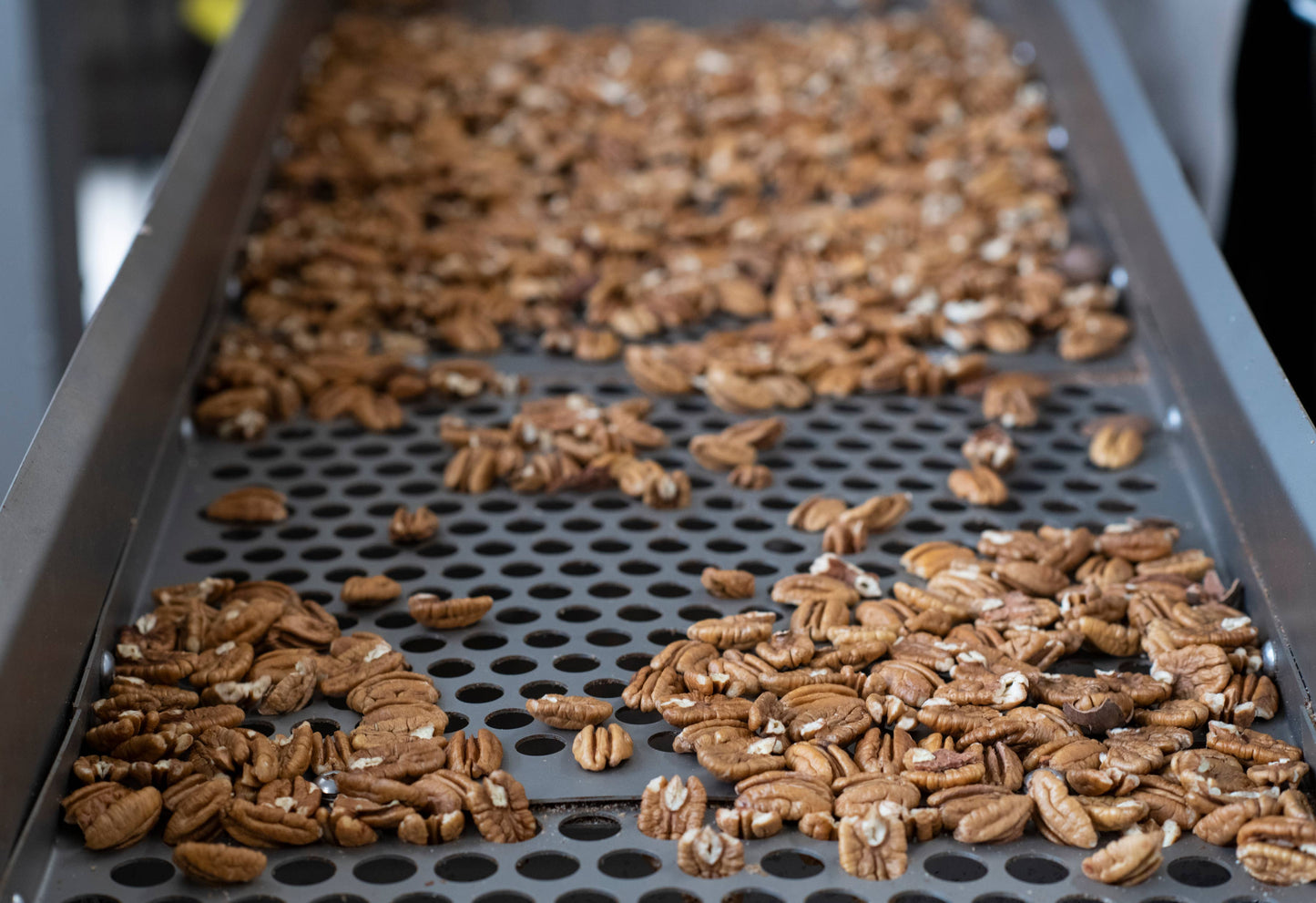 Raw Pecan Halves- Yon Family Farms