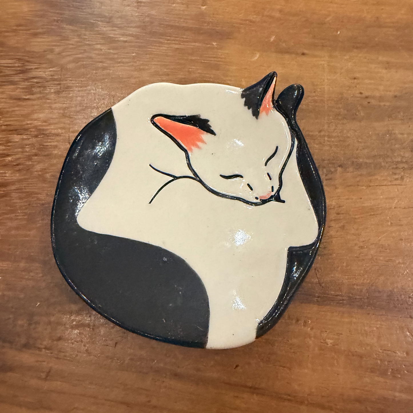 Cat Dish
