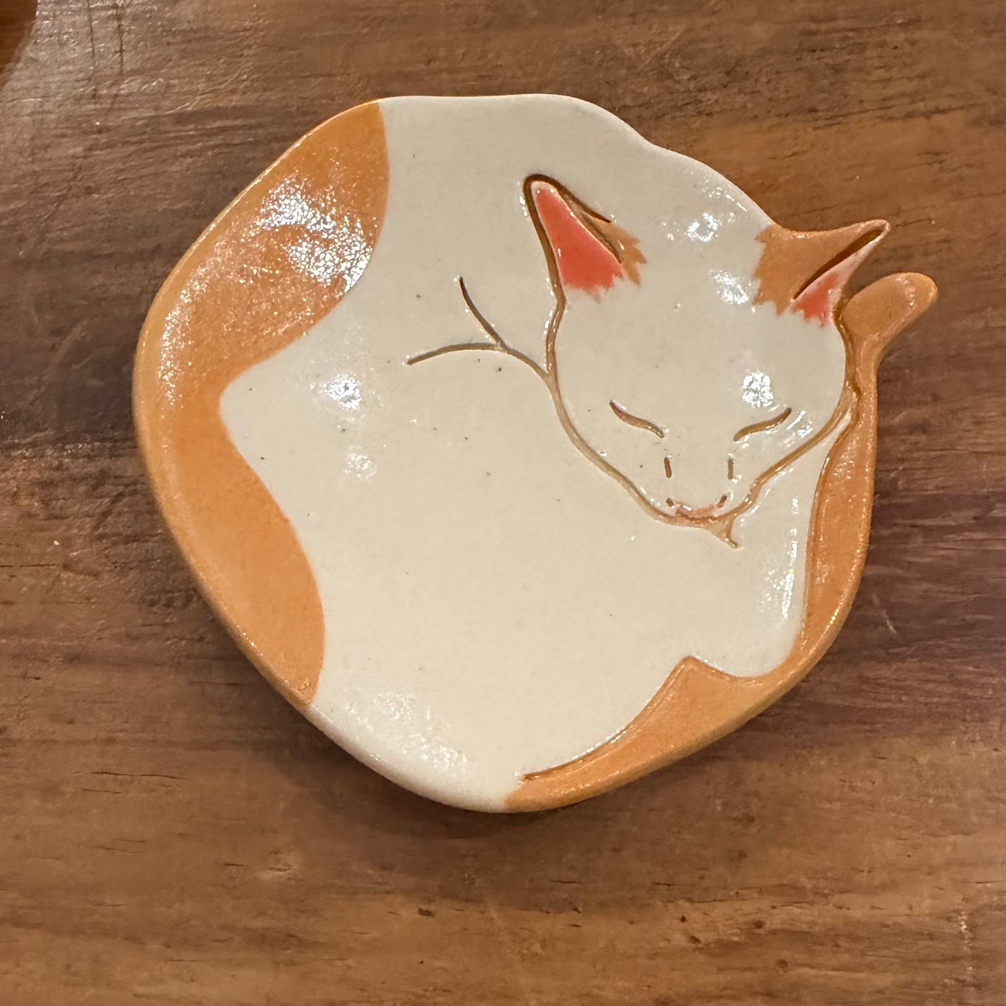 Cat Dish