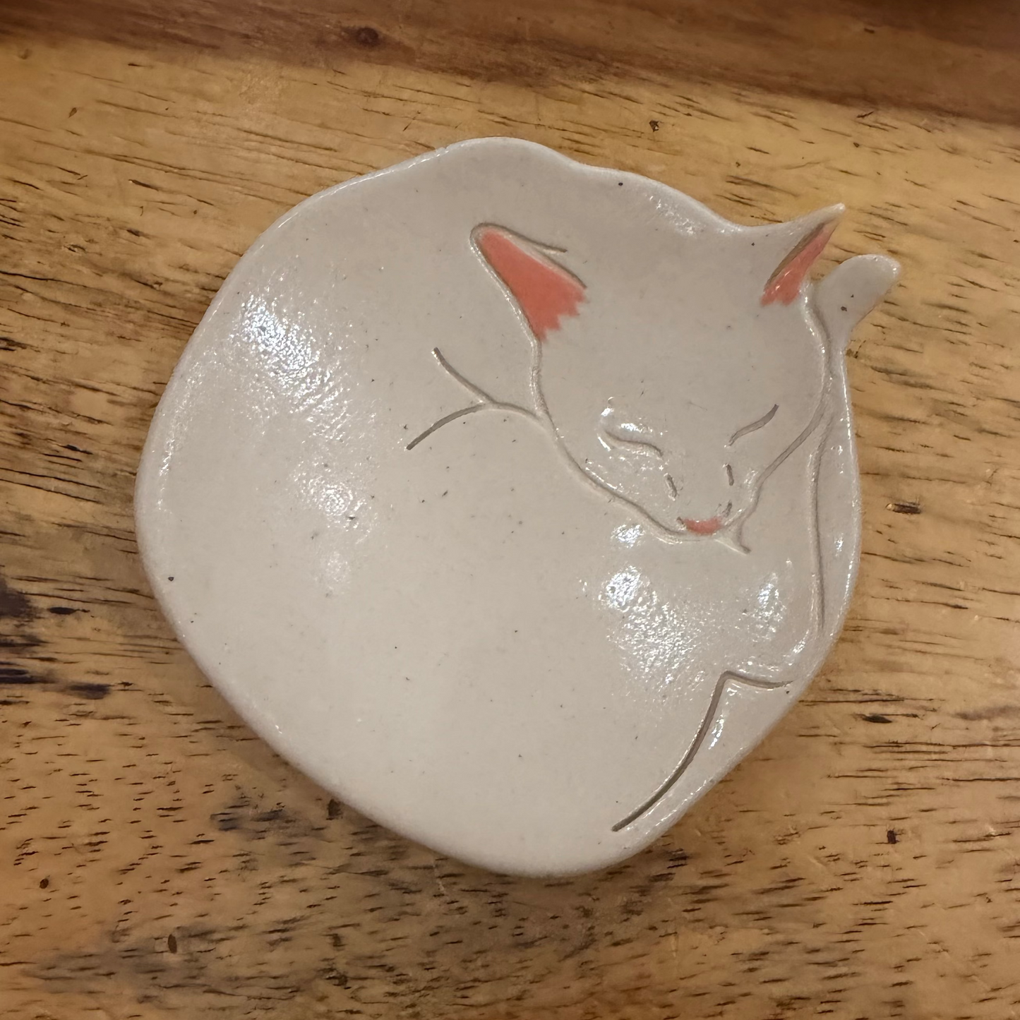 Cat Dish