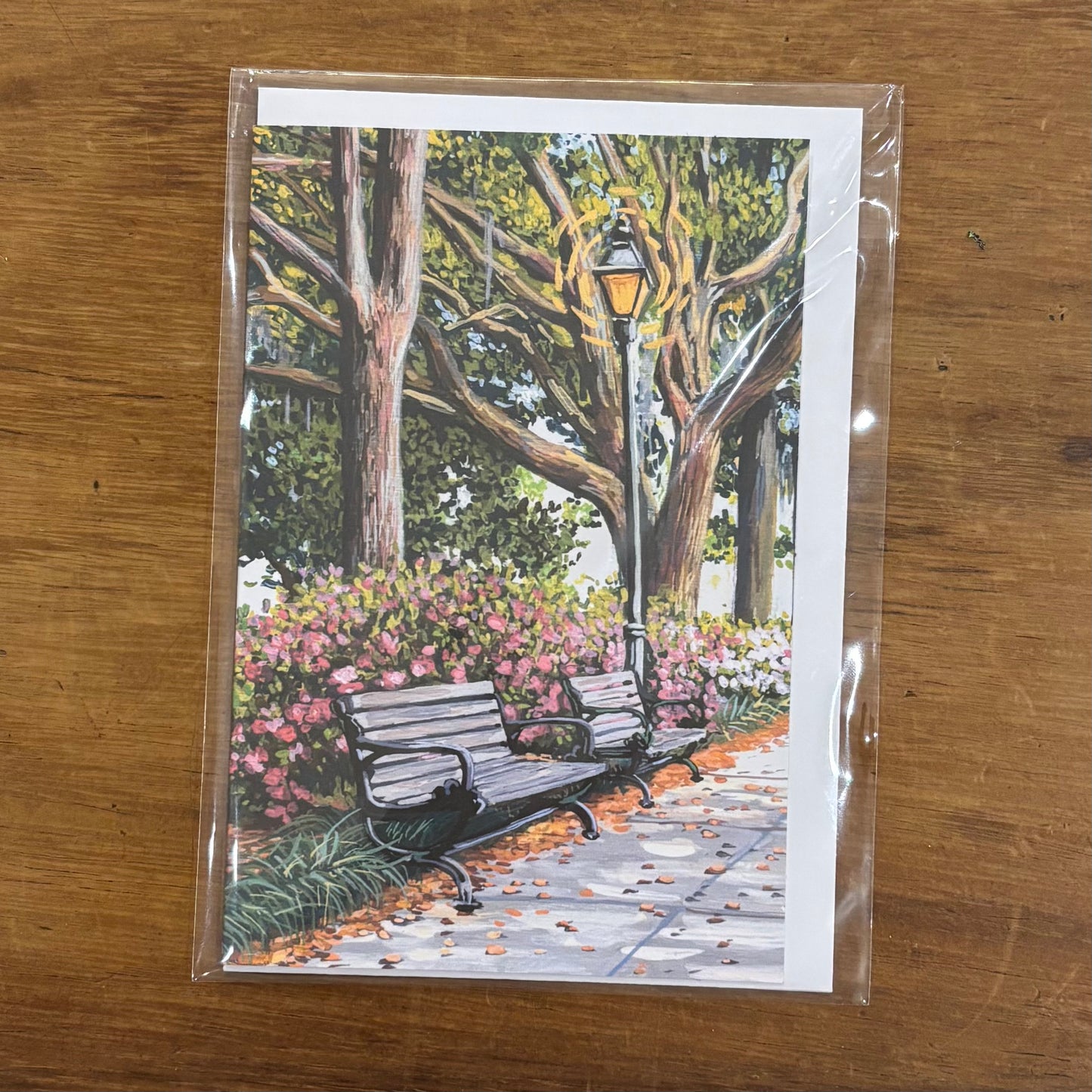 Savannah Greeting Cards - Michelle Perez