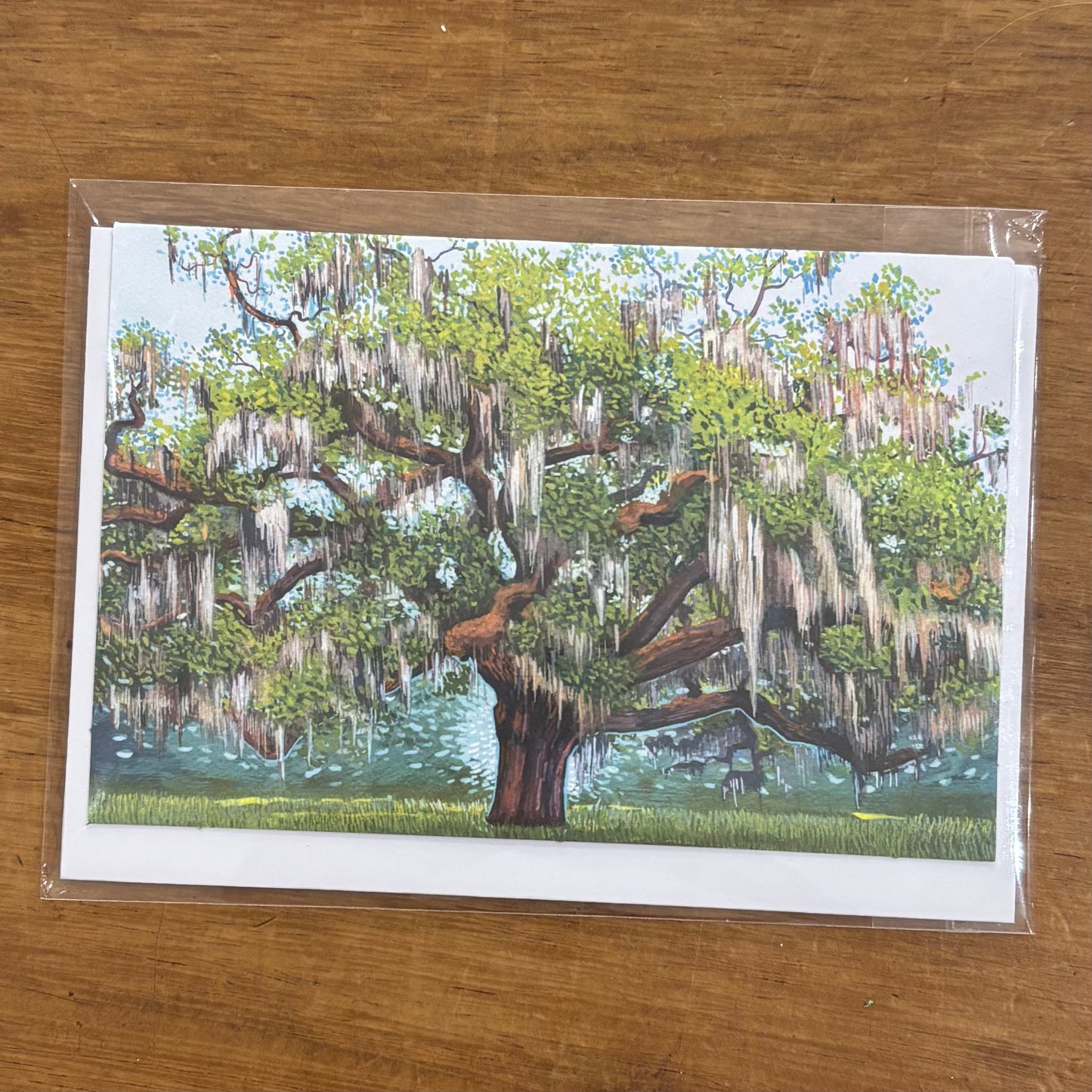 Savannah Greeting Cards - Michelle Perez