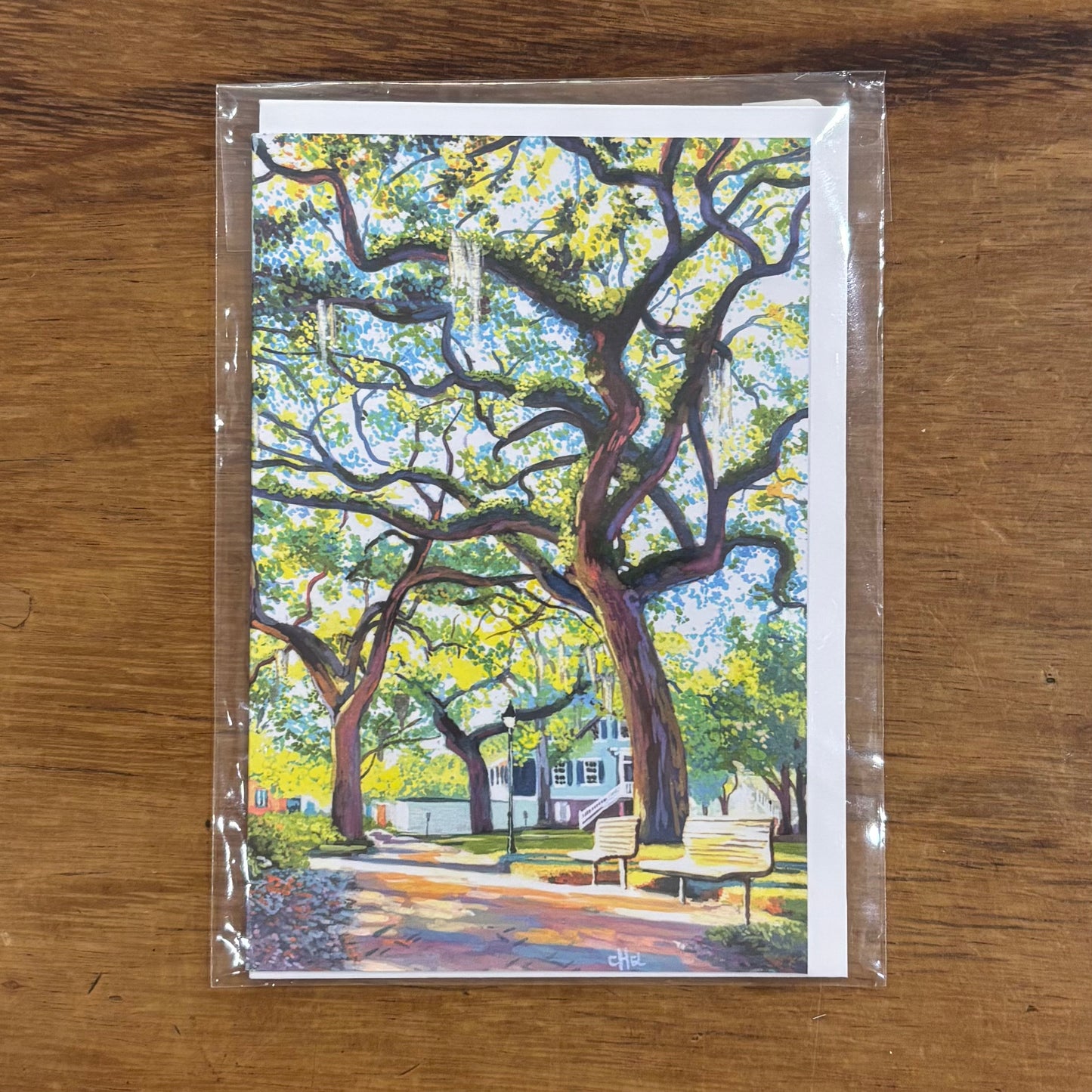 Savannah Greeting Cards - Michelle Perez