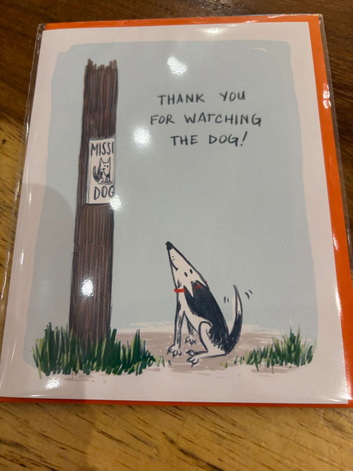 Thank you for watching the dog