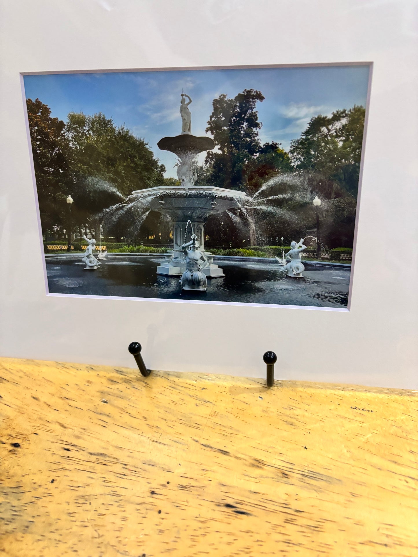 Savannah atelier photography 8x10