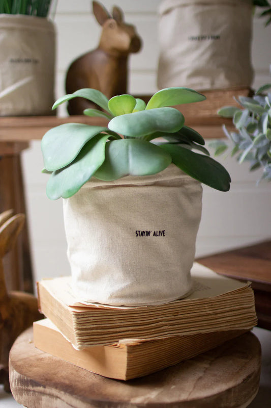Canvas Planters with Sayings