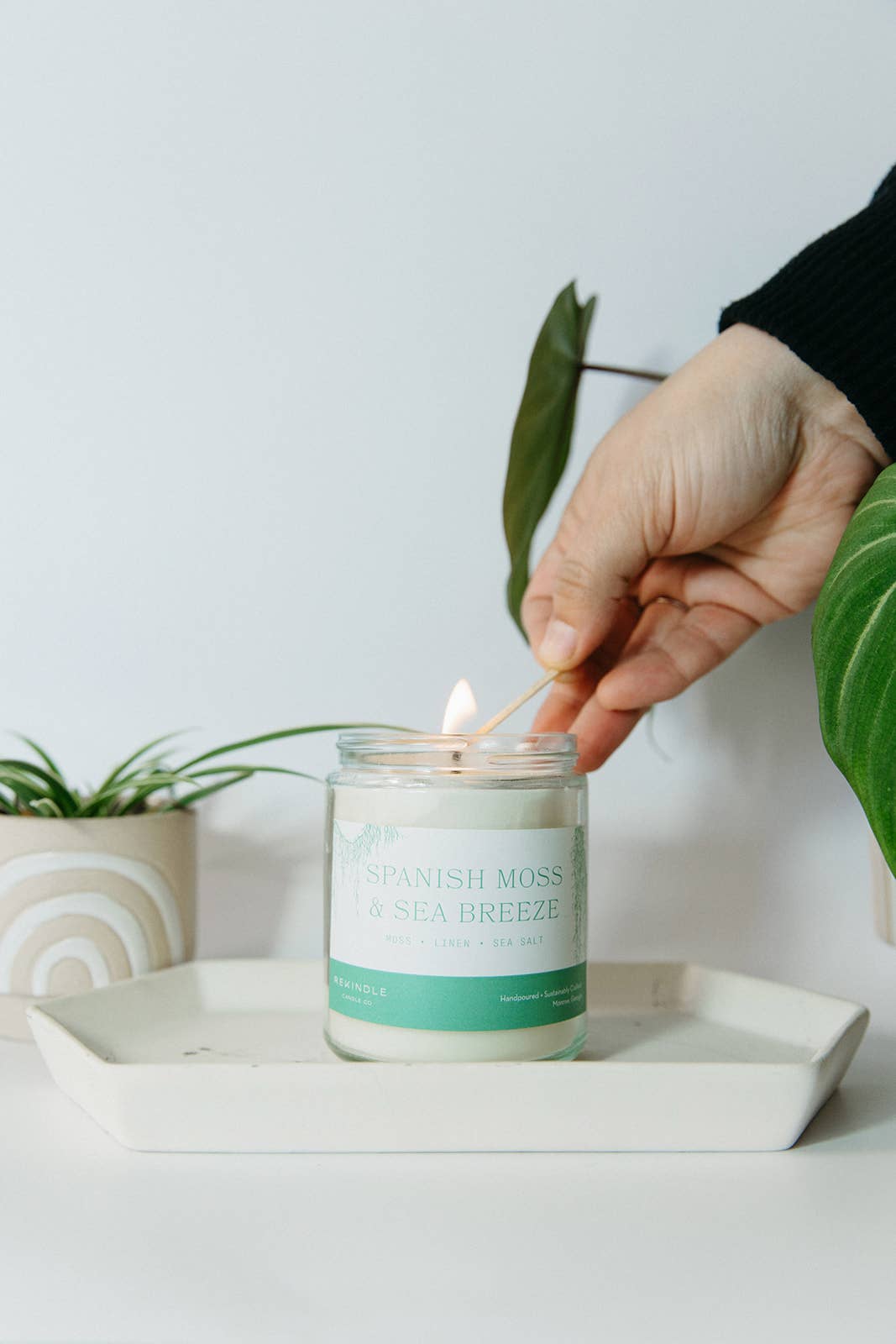 Spanish Moss + Sea Breeze Cotton Wick Soy Candle