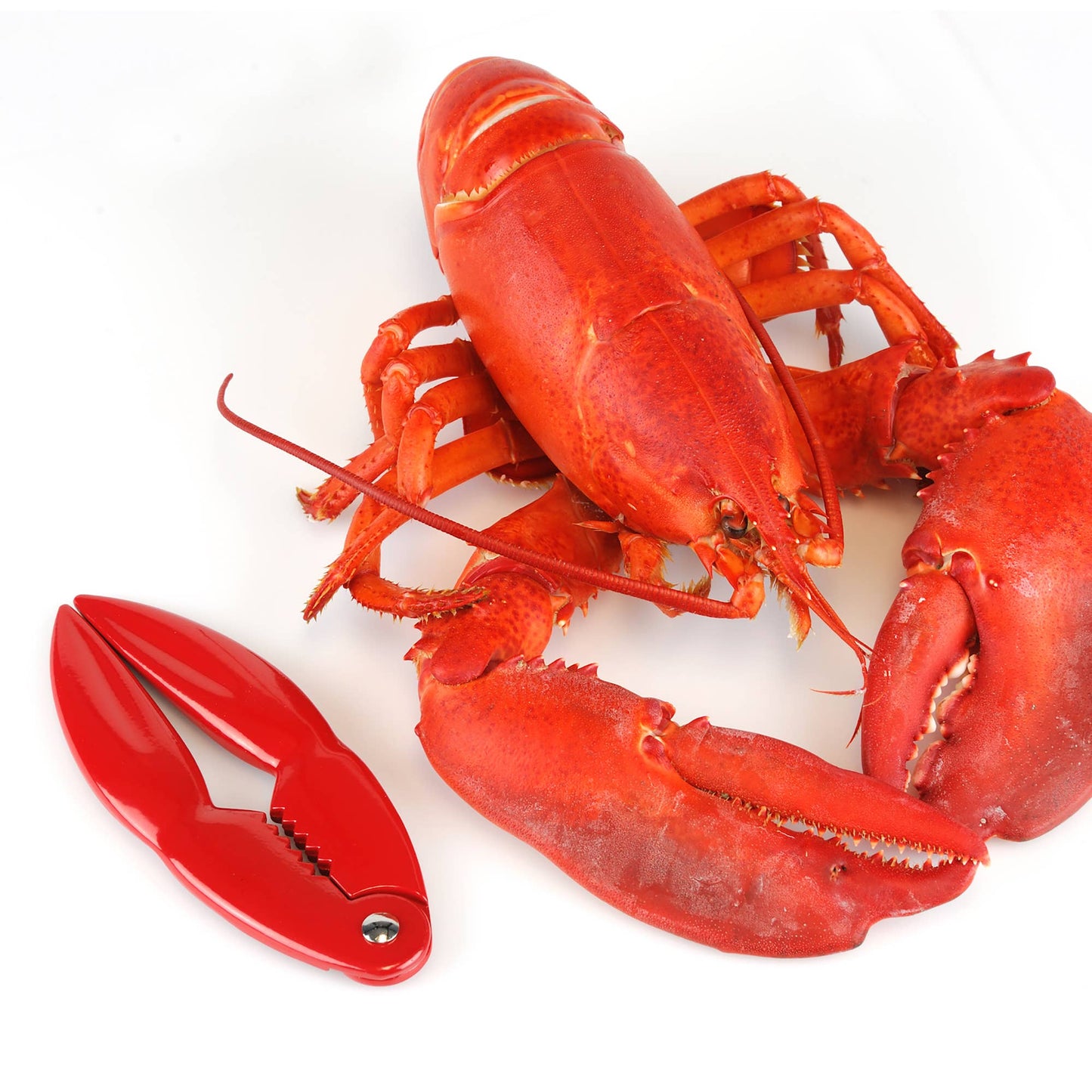 Crab Cracker
