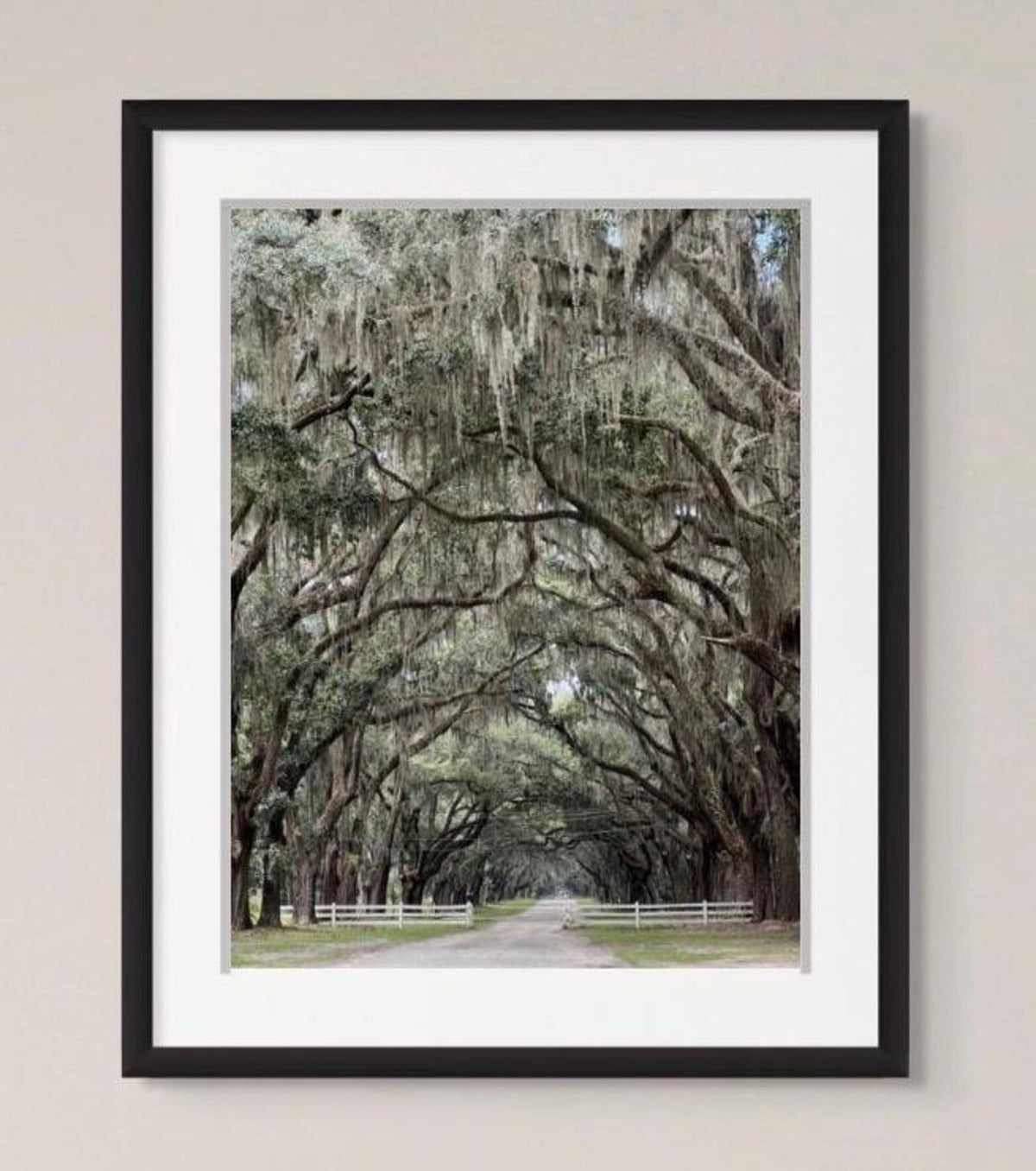 Savannah atelier photography 11x14